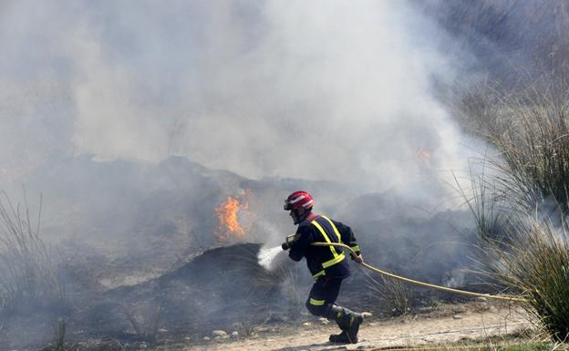 Los bomberos de Baza extinguen dos incendios de unas 4 hectáreas de vegetación de ribera