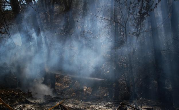 Los bomberos de Baza sofocan dos incendios localizados en la A-92 y en Caniles