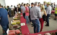 Celebrada con éxito la Primera Feria Agroalimentaria de Zújar