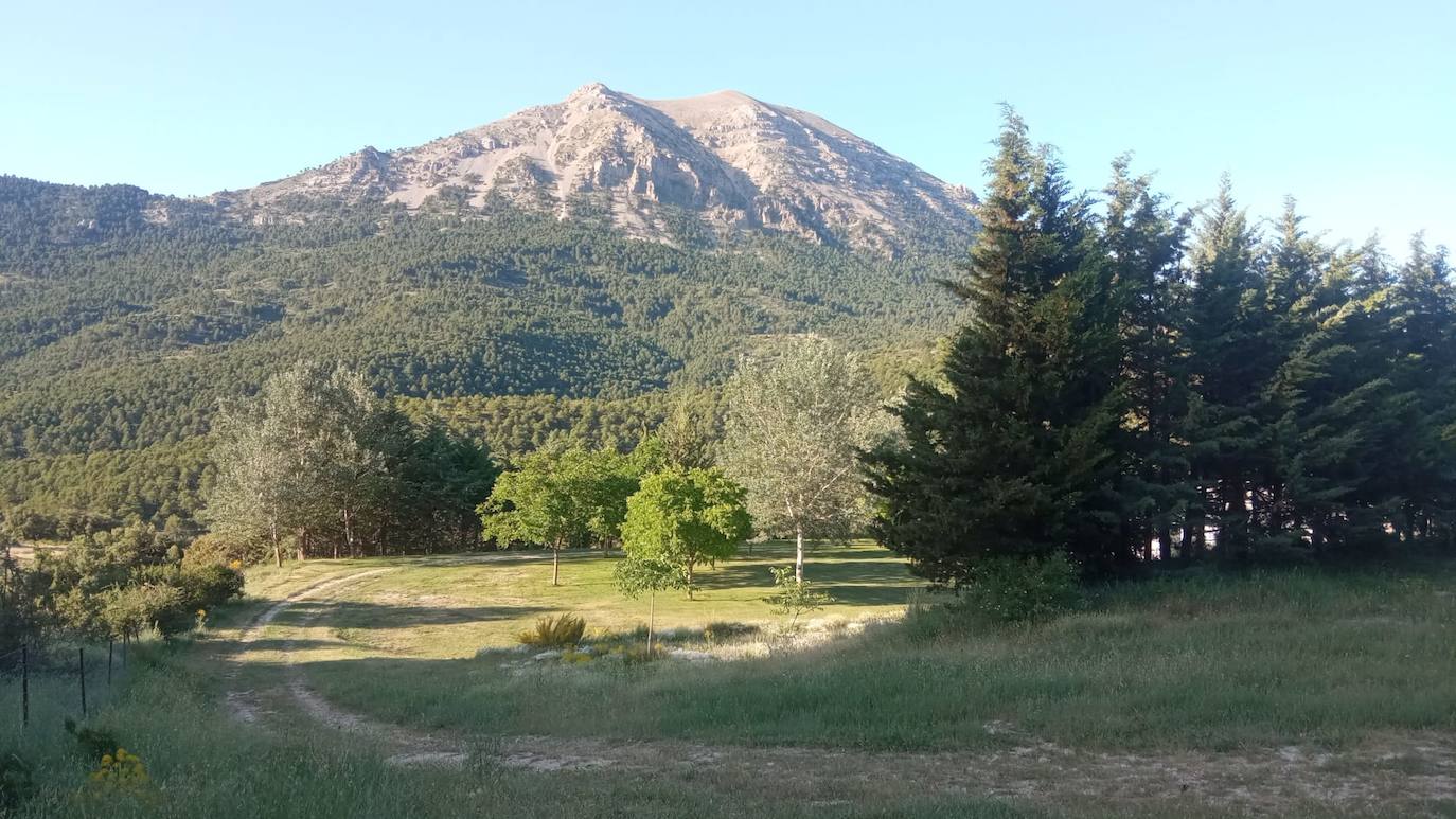 Huéscar acoge la I Jornada de «Sostenibilidad de nuestros montes»