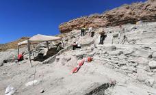 Descubren uno de los accesos al yacimiento del Cerro del Real en Galera datado entre siglos I a.C. y I d.C.