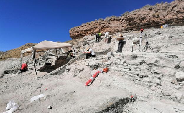Descubren uno de los accesos al yacimiento del Cerro del Real en Galera datado entre siglos I a.C. y I d.C.