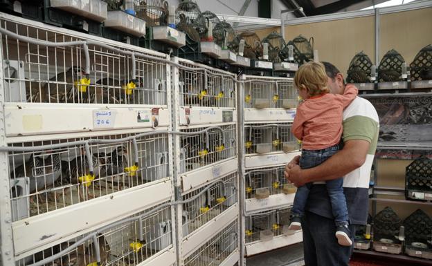 10.000 visitantes en la I Feria Agroganadera y de Caza de Baza