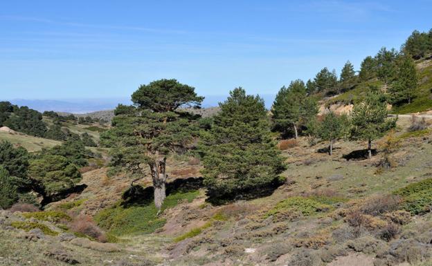 Aprobado el Plan de Desarrollo Sostenible de la Sierra de Baza