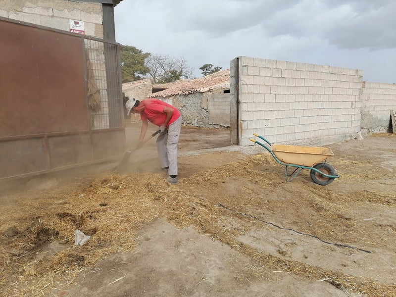 Aprobadas ayudas para las explotaciones afectadas por el brote de viruela ovina y caprina
