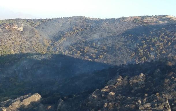 14 bomberos continúan las labores para extinguir el incendio forestal de Quesada