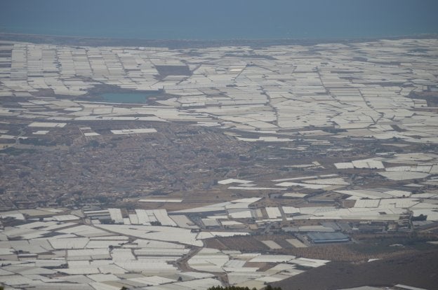 El Ejido tramita en lo que va de año más de 200 peticiones de licencias para modernizar los invernaderos