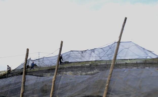 El Ejido insiste en la necesidad de recuperar el proyecto de Cicloagro al inicio de campaña