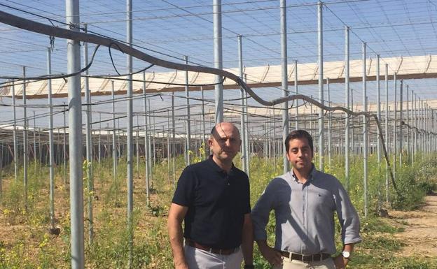 Agricultores que piensan ‘en verde’