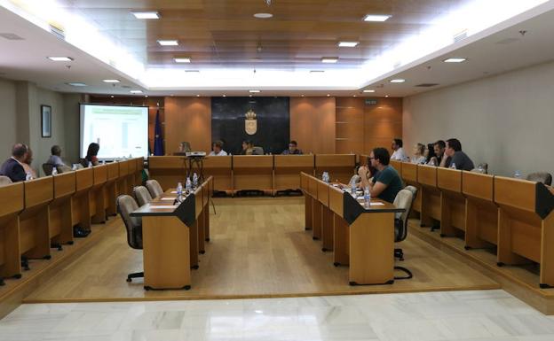 Un informe del consejo escolar arroja que el 8% del alumnado requiere de apoyos específicos