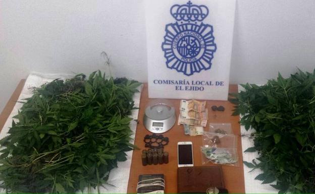 Desarticulan en El Ejido un clan familiar dedicado al cultivo de marihuana