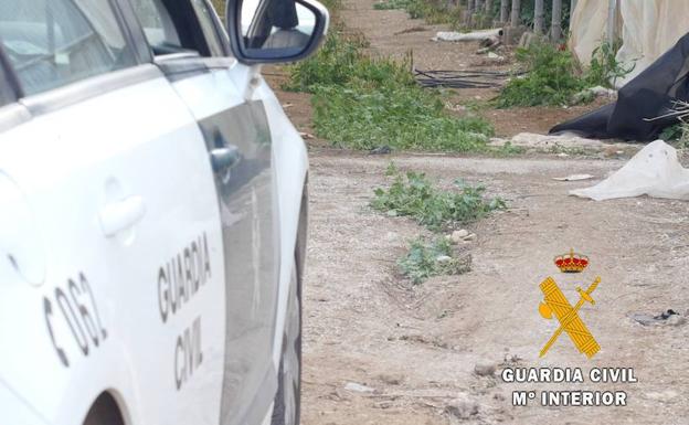 Investigado por provocar daños en 4.500 metros cuadrados de un invernadero en El Ejido