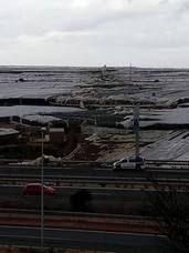 El tornado arrasa más de 150 hectáreas de invernadero