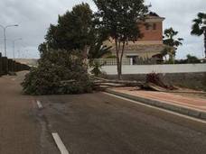 Varios tornados ocasionan destrozos en El Ejido