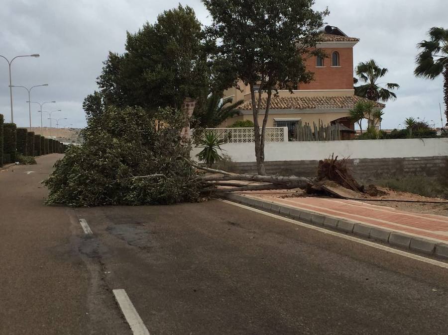 Las fotos del devastador tornado en El Ejido