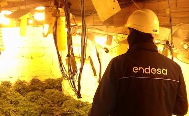 Endesa realiza el corte de 62 enganches ilegales en el núcleo de Matagorda