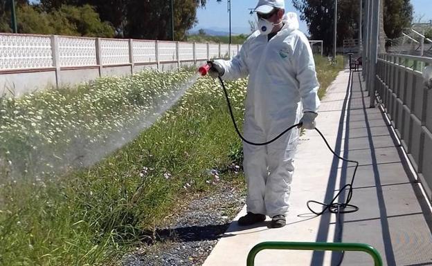 Las primeras plagas de mosquitos obligan a El Ejido a reforzar las fumigaciones
