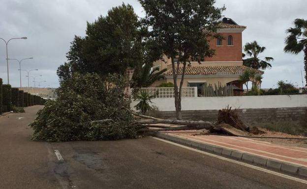 18 solicitudes de ayudas al campo almeriense por los daños de los tornados de enero