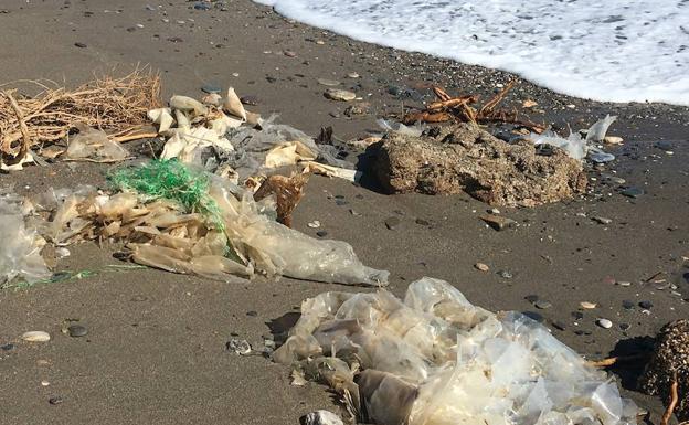 Los plásticos toman la costa en la zona de la playa de Las Cuevecillas del municipio