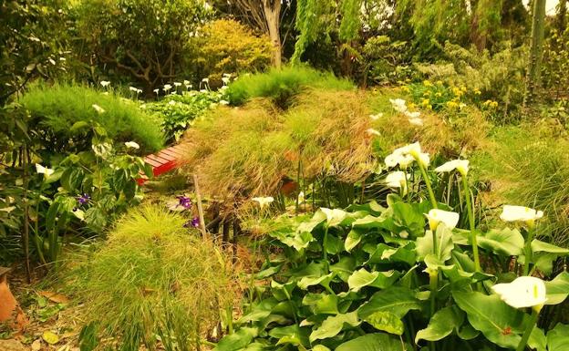 El Jardín Botánico La Almunya del Sur acoge un concierto de Música Sefardí y Andalusí