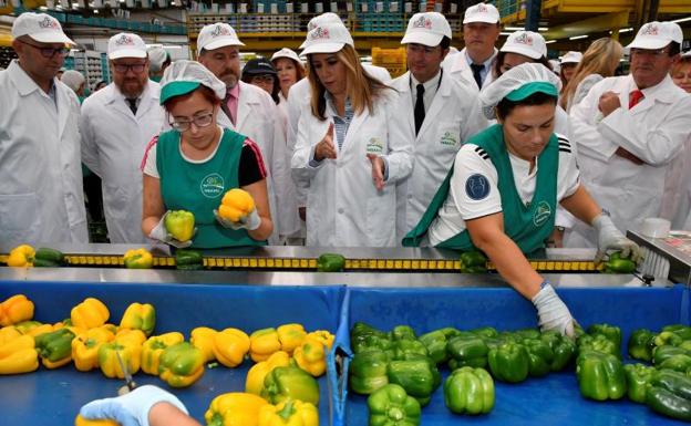Susana Díaz anuncia que en una semana se publicará la orden para el Plan Renove de invernaderos
