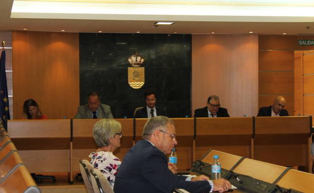 El Pleno insta a la Junta a la elaboración de un 'Plan de Choque' por la educación