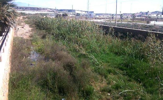 La Junta exige al Consistorio limpiar los tramos urbanos de la rambla El Sentir