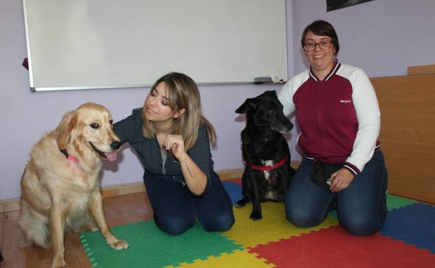 El beneficio terapéutico de trabajar con perros