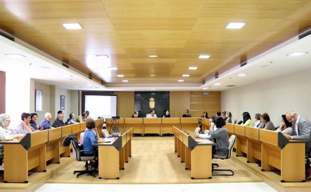 El Consejo de la Discapacidad analiza las mejoras en accesibilidad del municipio