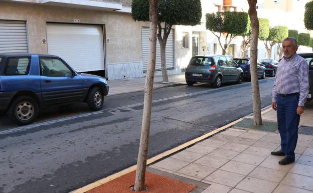 Los árboles dejan de ser un peligro para los viandantes en el núcleo de El Ejido