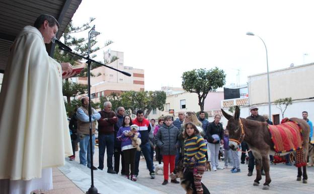 Santa María del Águila saca a sus mascotas a la calle para bendecirlas