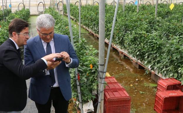 La subida del nivel del agua en la Cañada de Onáyar pone en riesgo las fincas aledañas