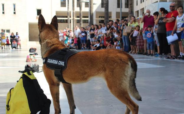 La Guardia Civil conmemora su 175 aniversario con la ciudadanía ejidense