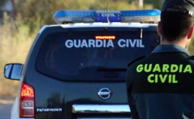 Las llamadas de vecinos de El Ejido permiten localizar una plantación de marihuana