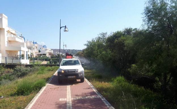 El Ayuntamiento intensifica las labores de control de mosquitos en Almerimar