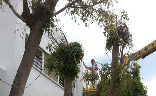 Los colegios del municipio se ponen a punto para el comienzo del curso
