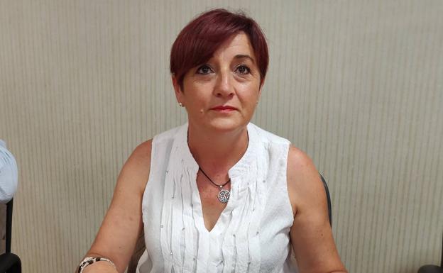El PSOE critica en el Pleno el plan de fumigación en los núcleos