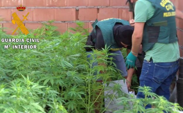 Dos nuevos detenidos por la marihuana hallada en el Pozo de la Tía Manolica