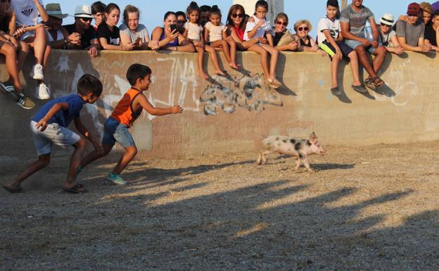 Los niños se lanzan a la caza del marranillo