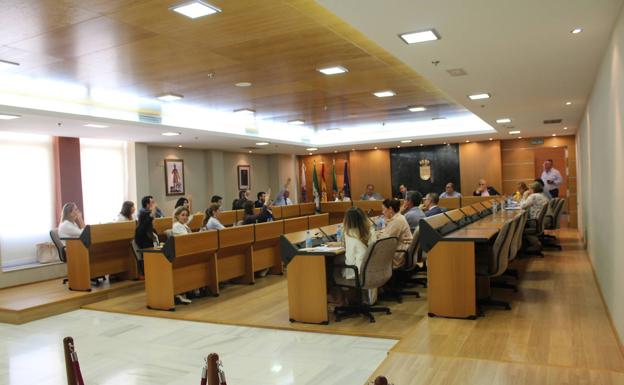 El Pleno aprueba, sin Vox, una moción del PSOE para garantizar el mantenimiento del sistema Viogen