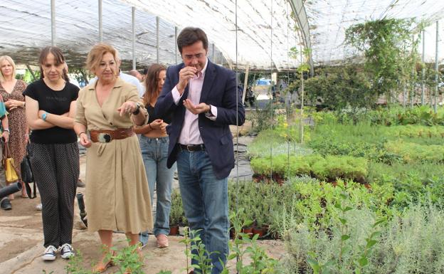 El vivero municipal abre un módulo para usuarios del taller de jardinería