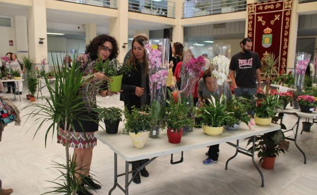 Los usuarios del Taller de Jardinería llenan de colorido el Patio de Luces del Consistorio