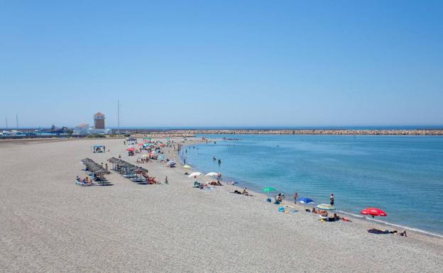 La Oficina Municipal de Turismo de El Ejido incrementa el número de visitantes en el año 2019