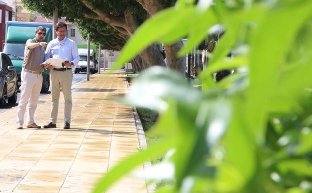 El Ejido llena sus parques y zonas verdes con más de 5.300 plantas
