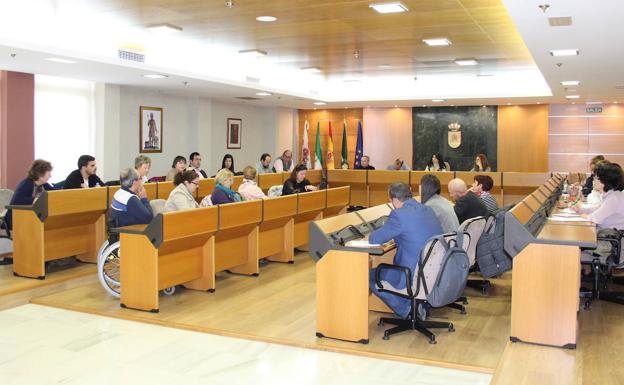 La Mesa de la Discapacidad prepara nuevas acciones de formación locales