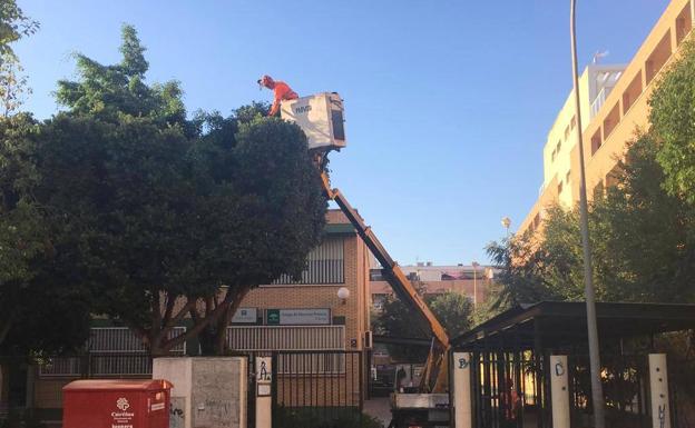 El Ayuntamiento de El Ejido se hace cargo de la gestión del servicio de agua