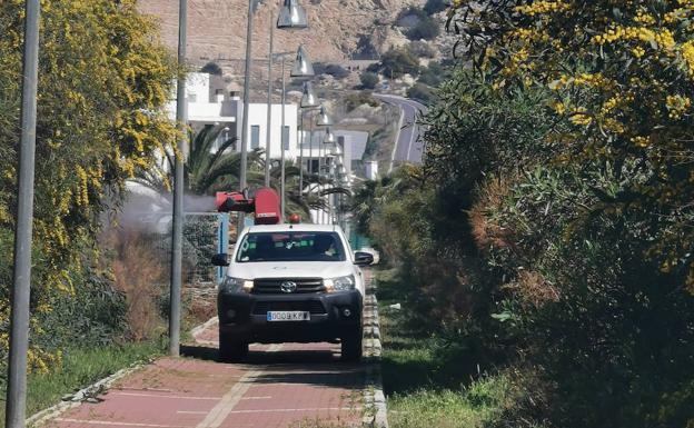 Continúan las labores de control y tratamiento de erradicación de mosquitos en El Ejido
