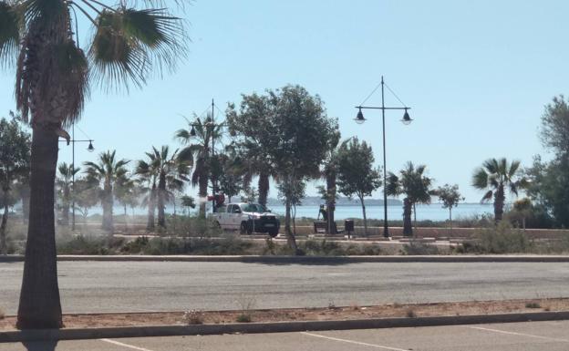 Adjudicado el contrato de Control y Vigilancia de Mosquitos en Almerimar