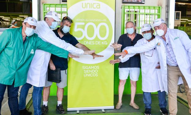 UNICA alcanza los 500 millones de kilos en el cierre de campaña agrícola