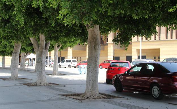 El Ayuntamiento de El Ejido intensifica las llamadas y visitas de seguimiento de los casos positivos de Covid-19